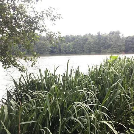 营地 Maringotka Supina Vyzlovka